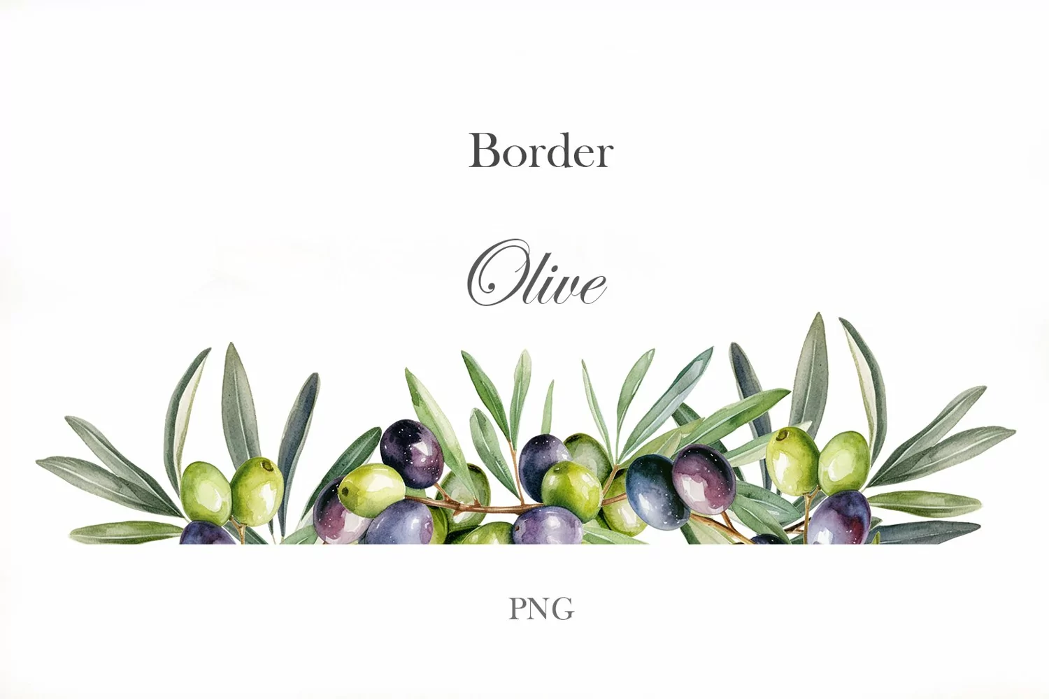 Watercolor Olive branches border