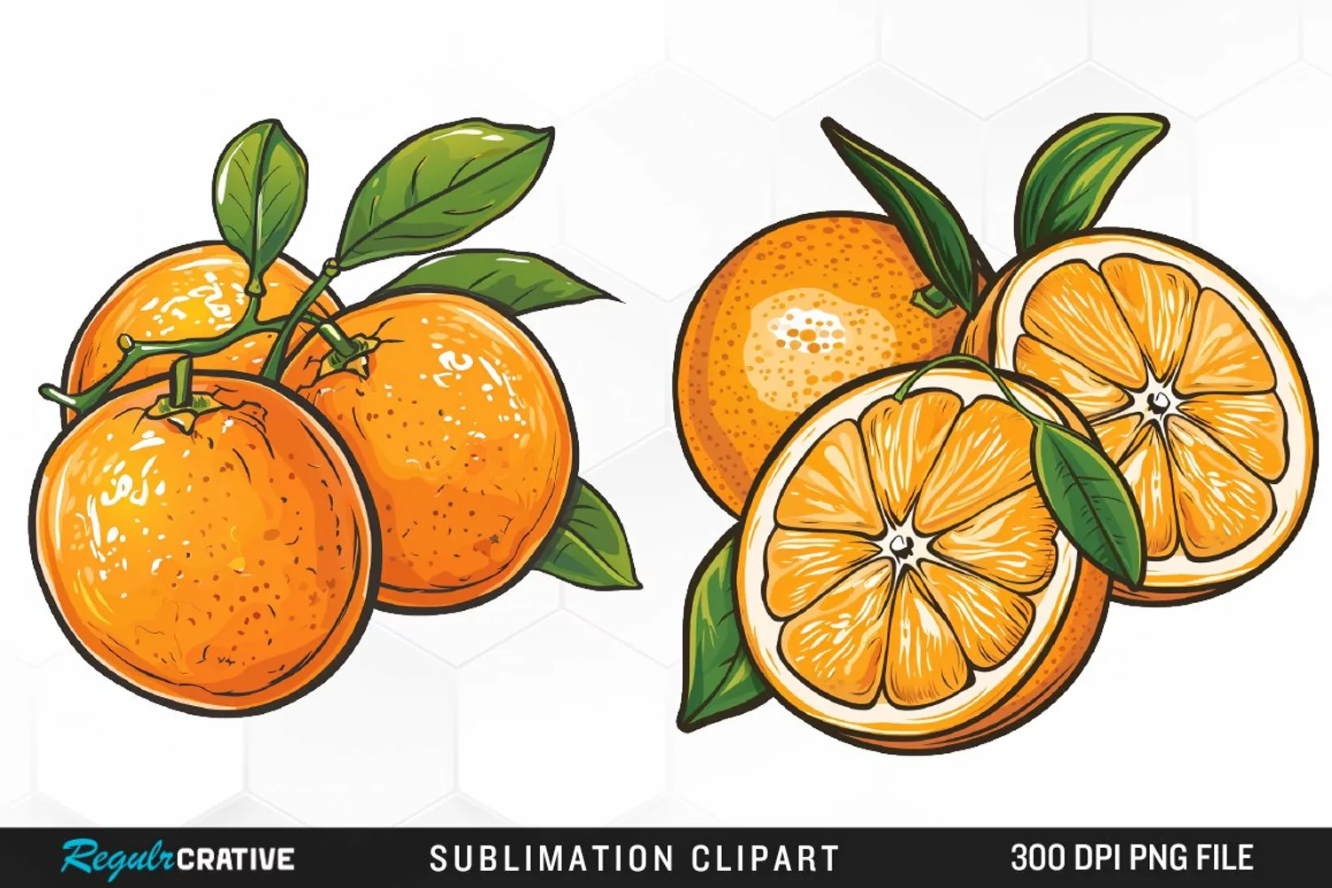 Watercolor Oranges Illustration Clipart product image 1