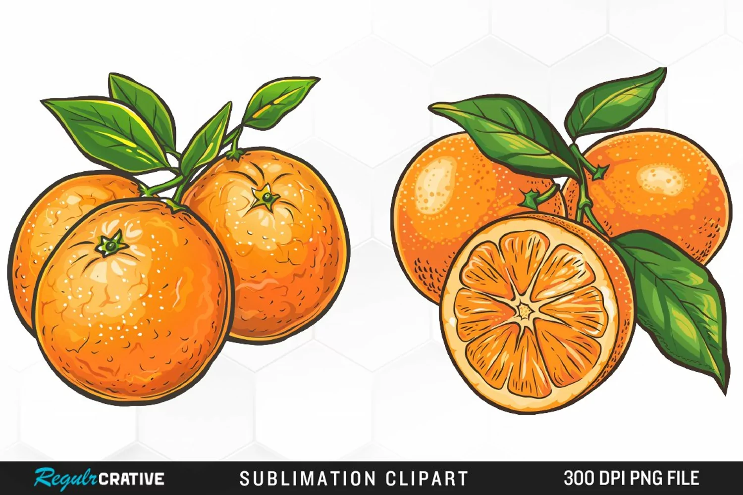 Watercolor Oranges Illustration Clipart product image 1