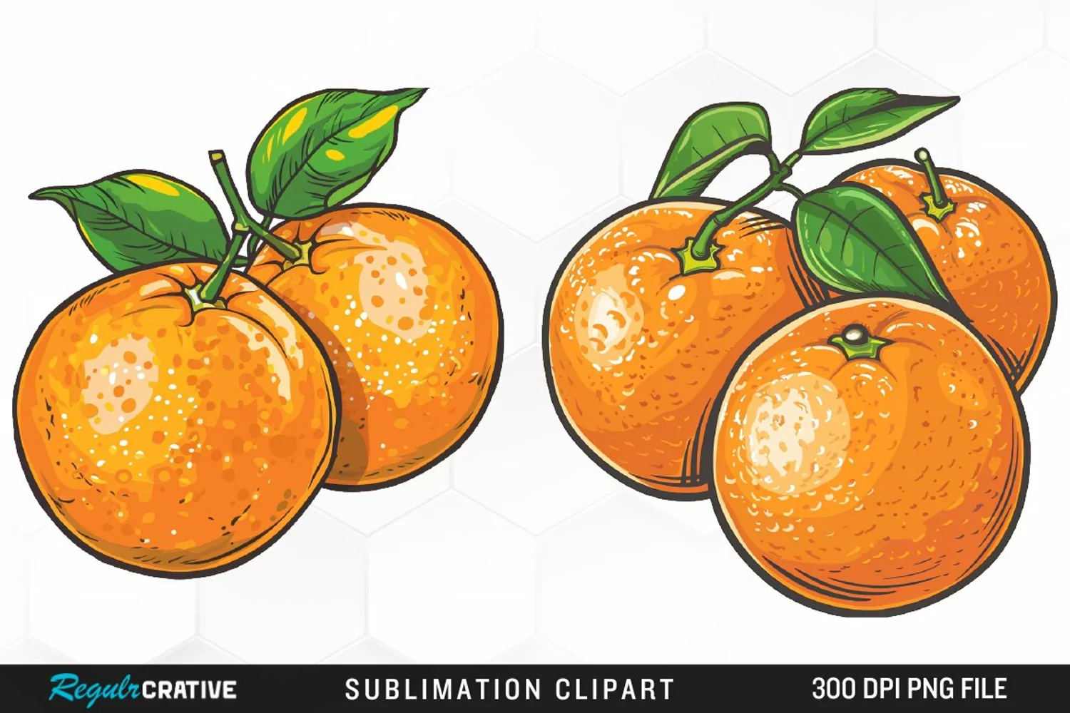 Watercolor Oranges Illustration Clipart product image 1