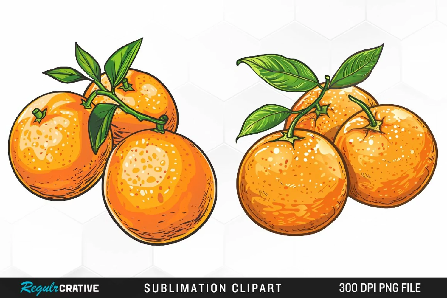 Watercolor Oranges Illustration Clipart product image 1