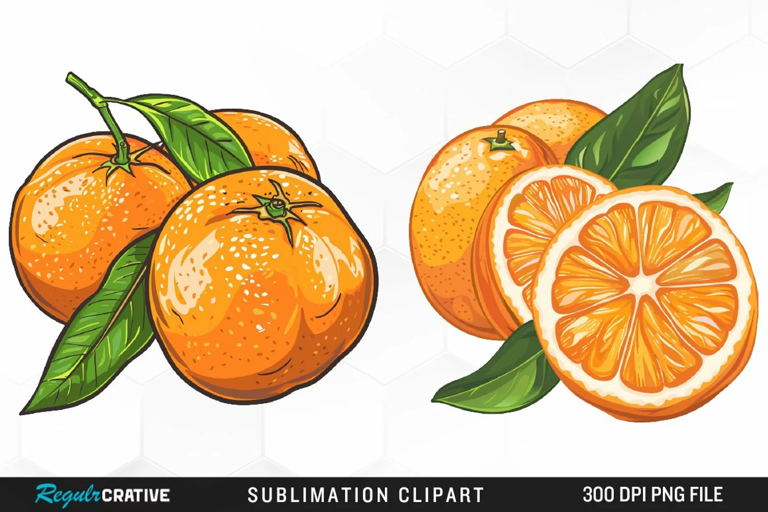 Watercolor Oranges Illustration Clipart product image 1