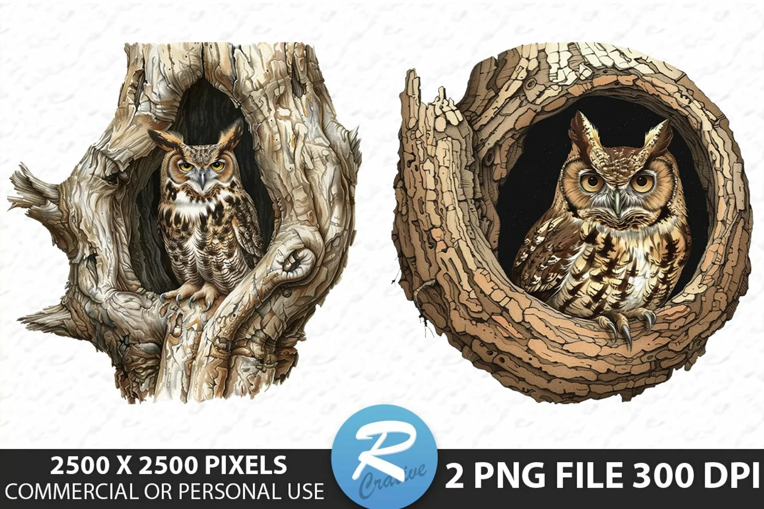Watercolor Owl Sublimation PNG Clipart product image 1