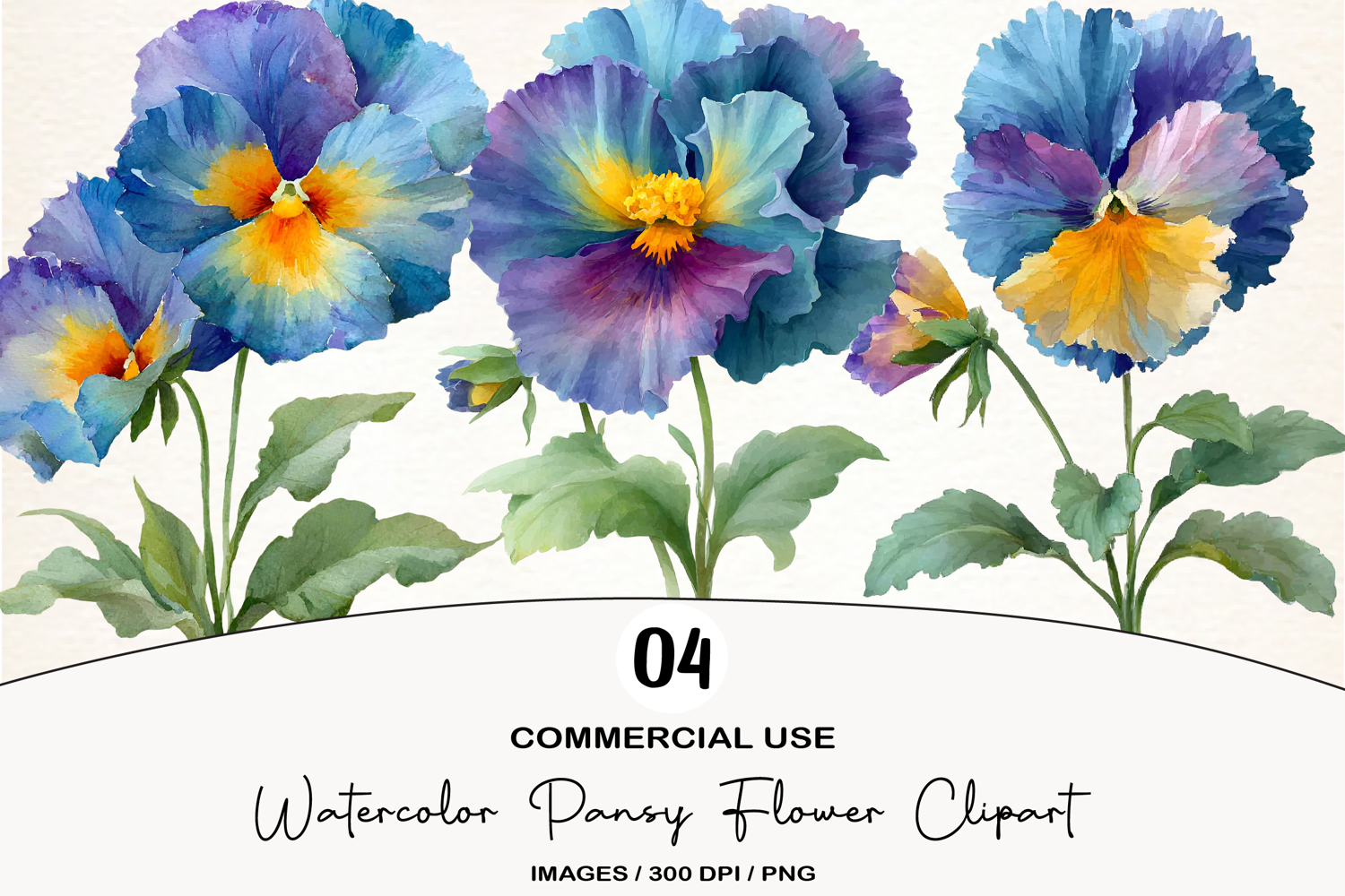 Watercolor Pansy Flower Clipart product image 1