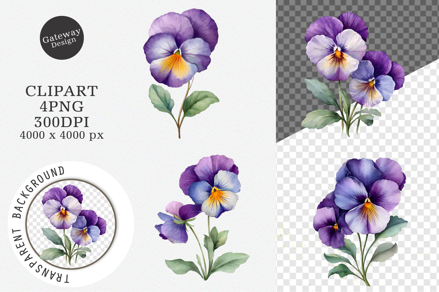 Watercolor Pansy Flowers Clipart product image 1