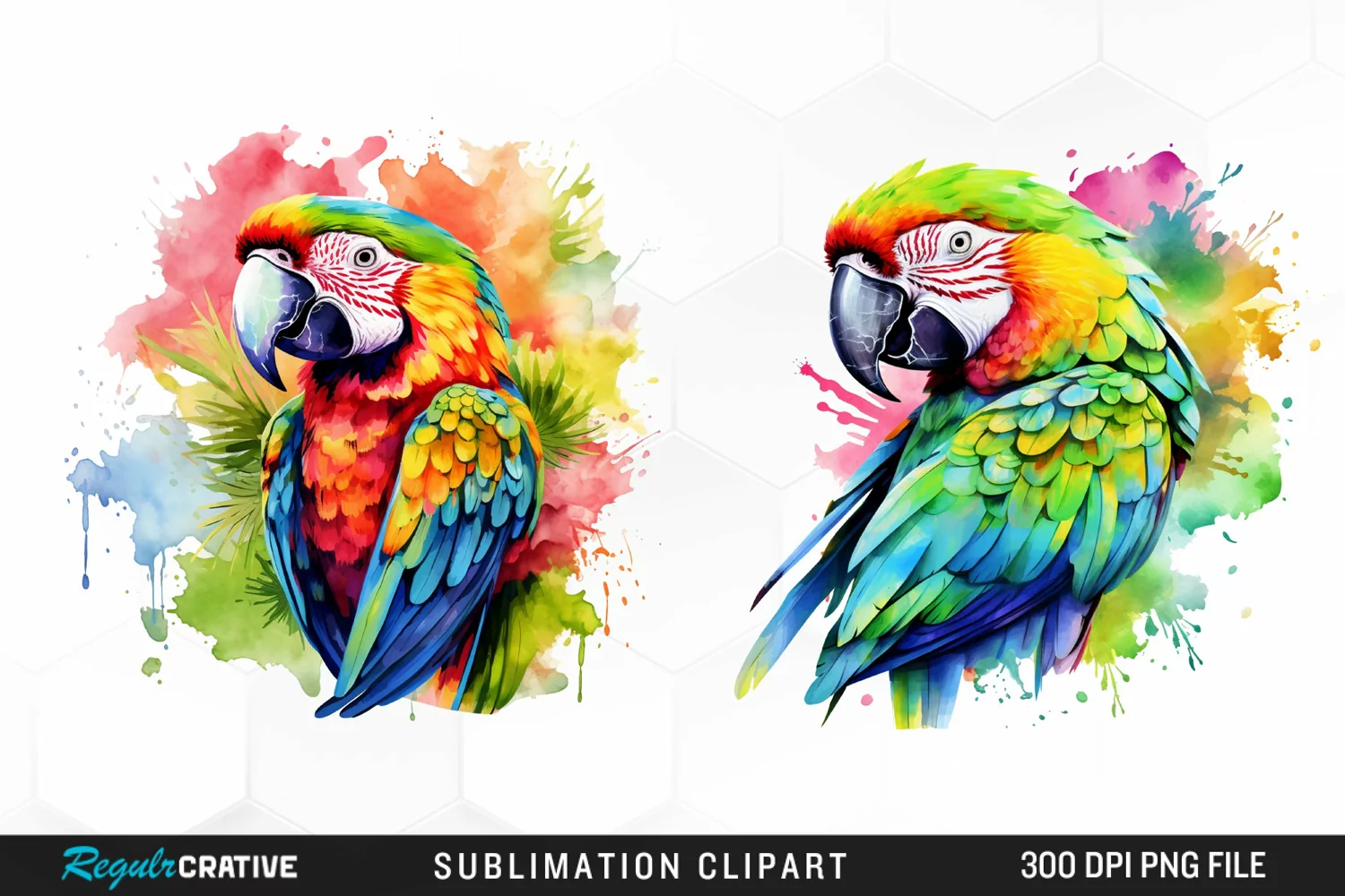 Watercolor Parrot Sublimation PNG Clipart product image 1