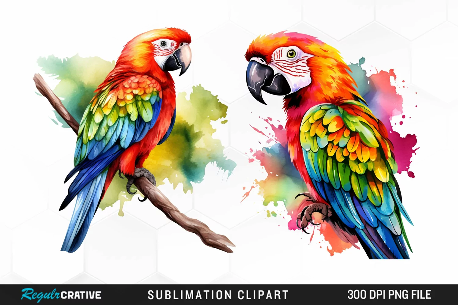 Watercolor Parrots Design Clipart product image 1