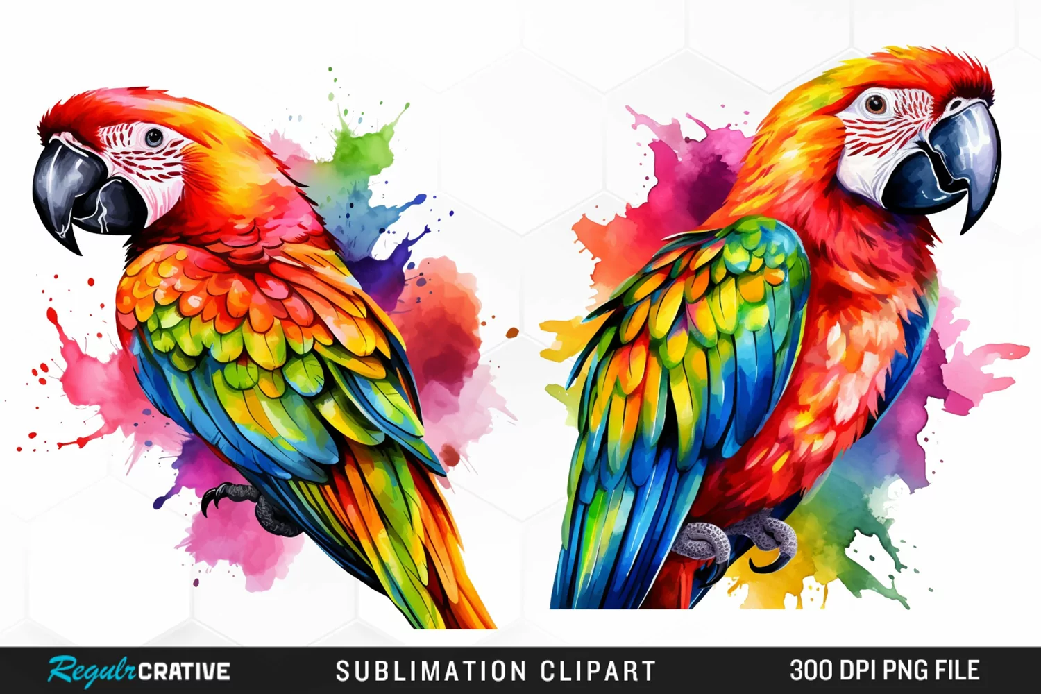 Watercolor Parrots Design Clipart product image 1