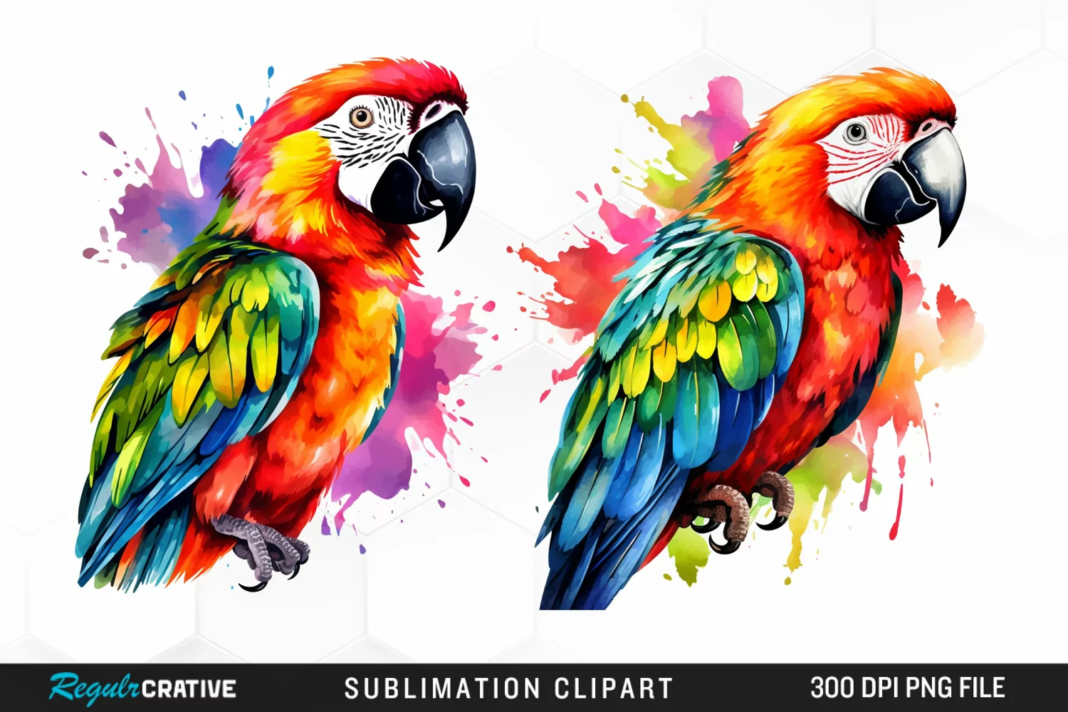 Watercolor Parrots Design Clipart product image 1