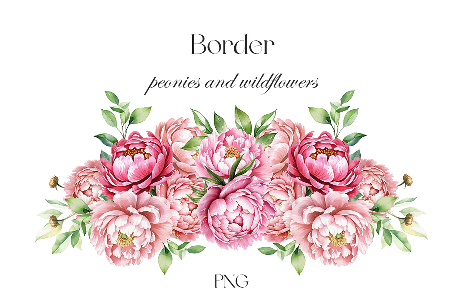 Watercolor peonies border