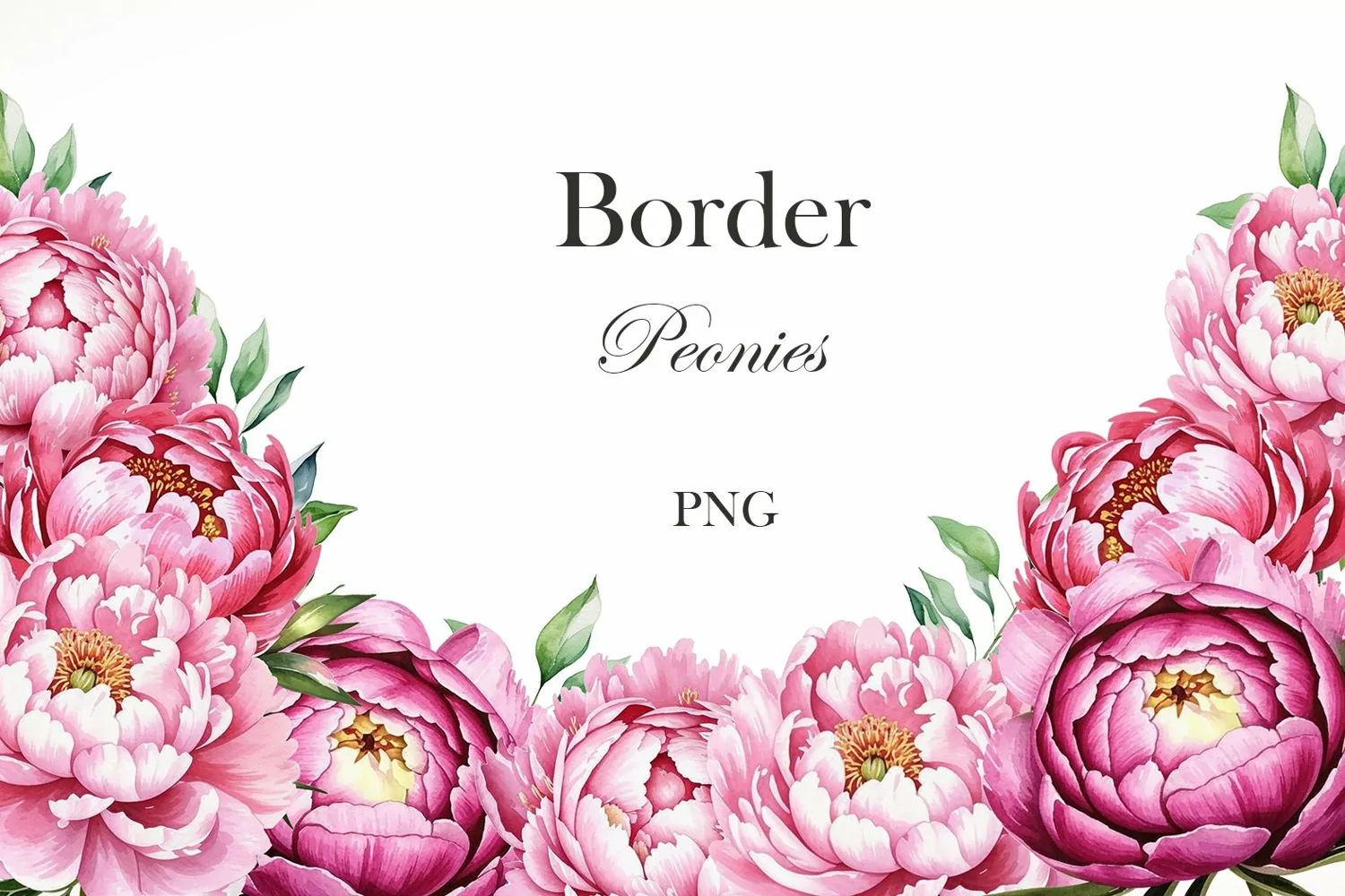 Watercolor peonies border