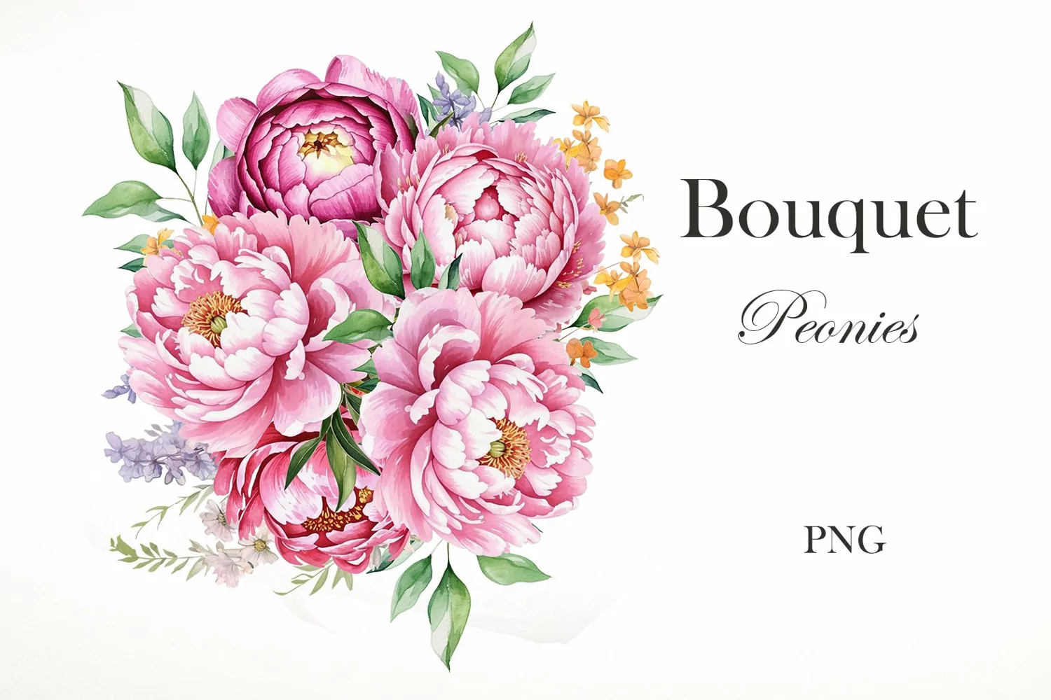 Watercolor peonies bouquet