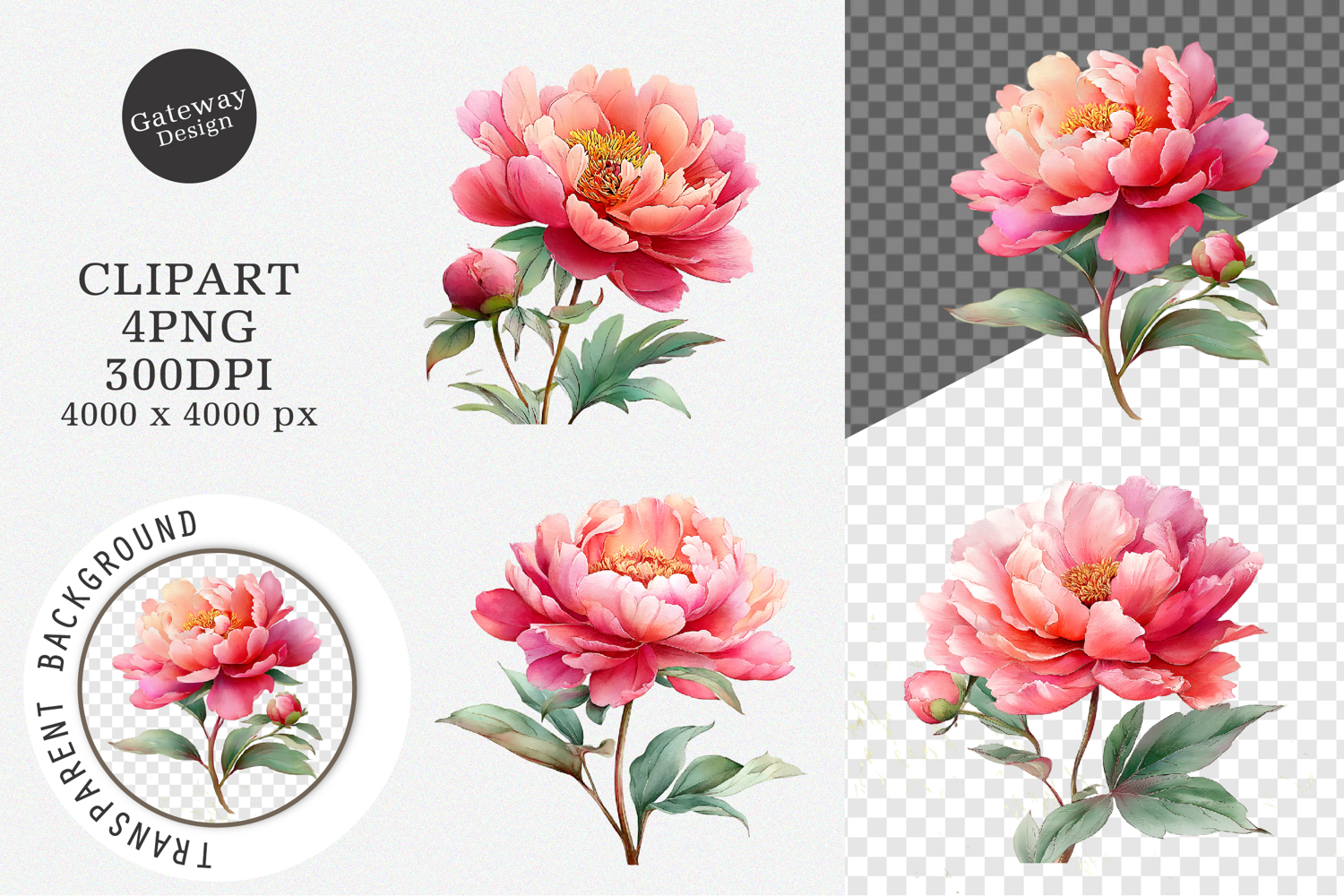 Watercolor Peony Flower Clipart product image 1