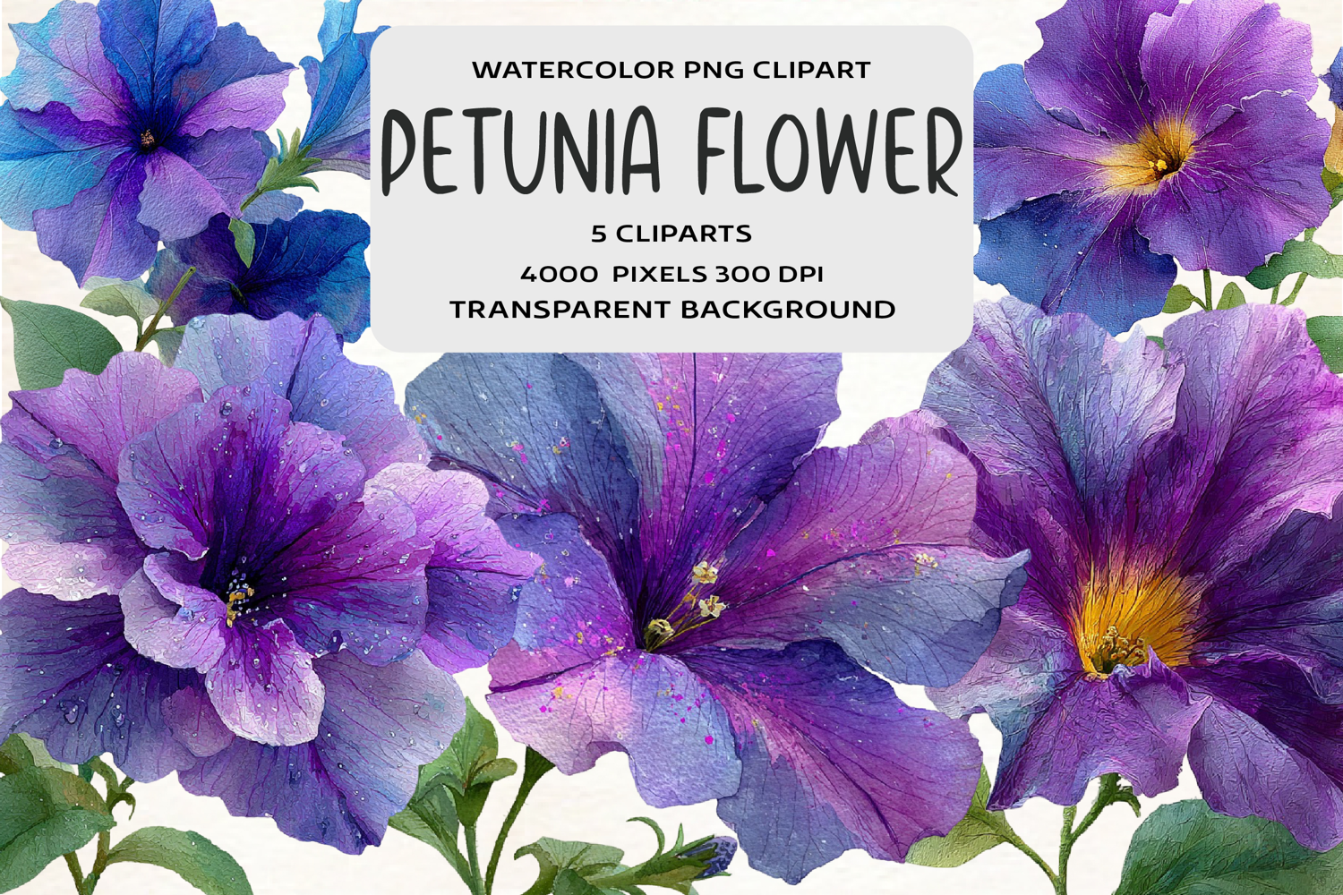 Watercolor Petunia Flower Clipart product image 1