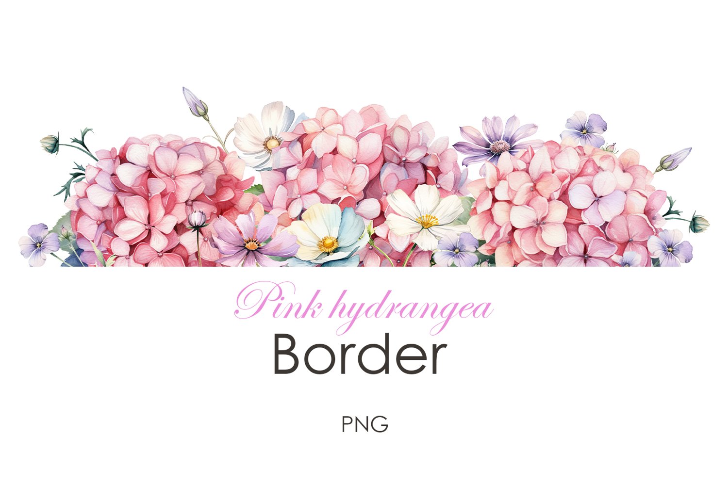 Watercolor pink hydrangea border