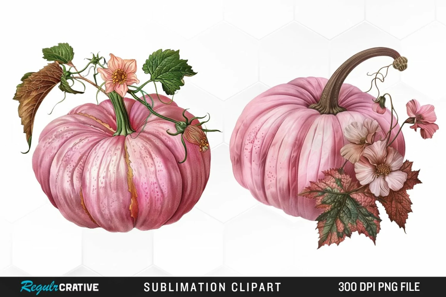 Watercolor Pink Pumpkin Exquisite Clipart product image 1