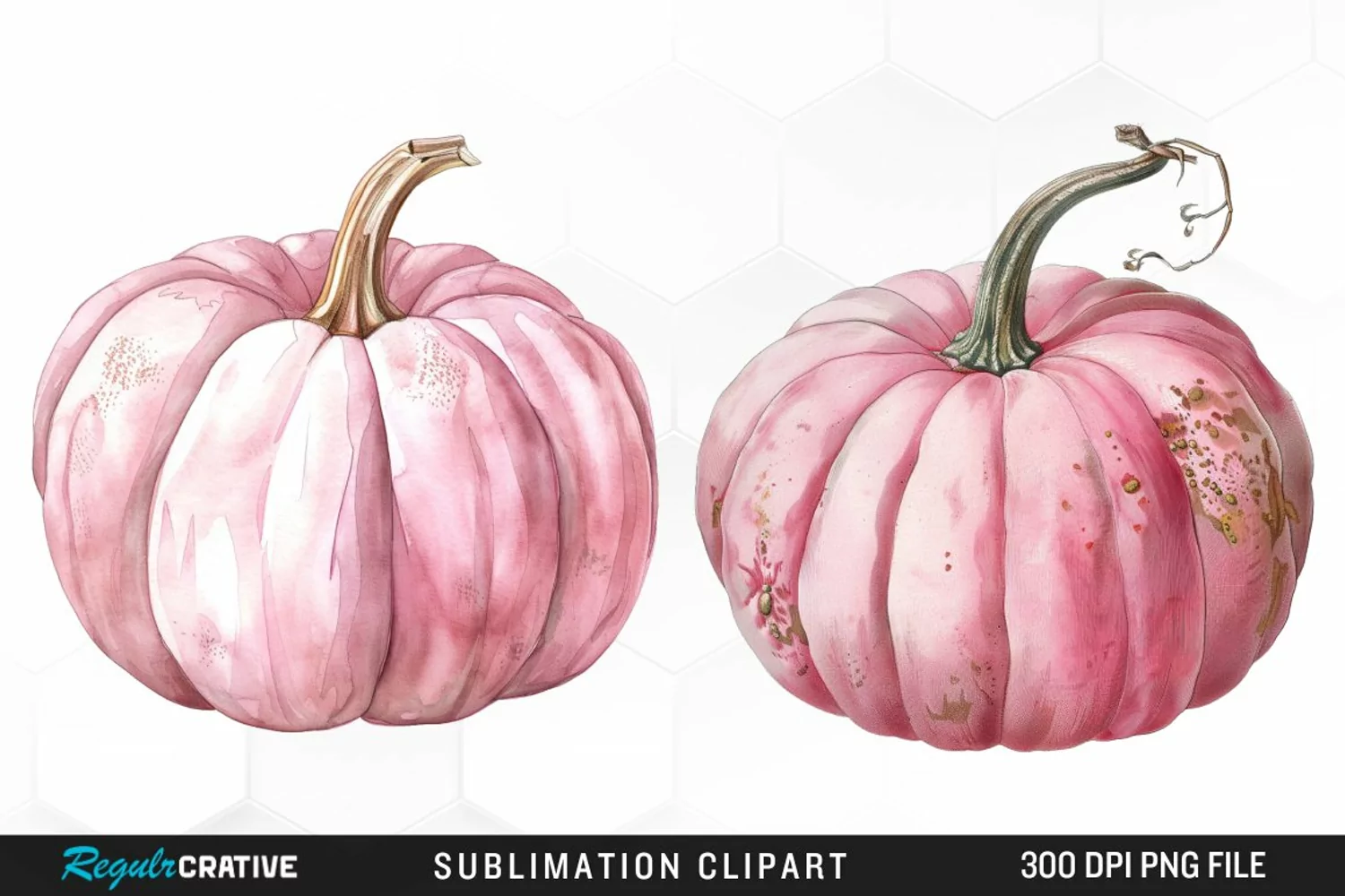 Watercolor Pink Pumpkin Exquisite Clipart product image 1