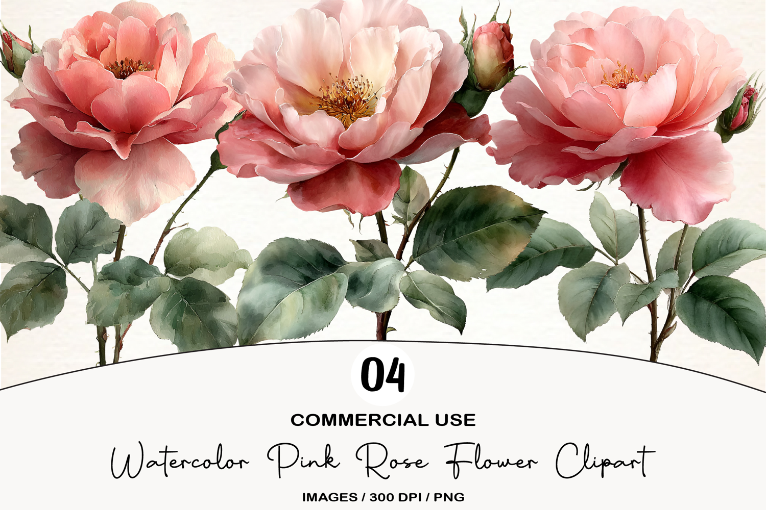 Watercolor Pink Rose Flower Clipart product image 1