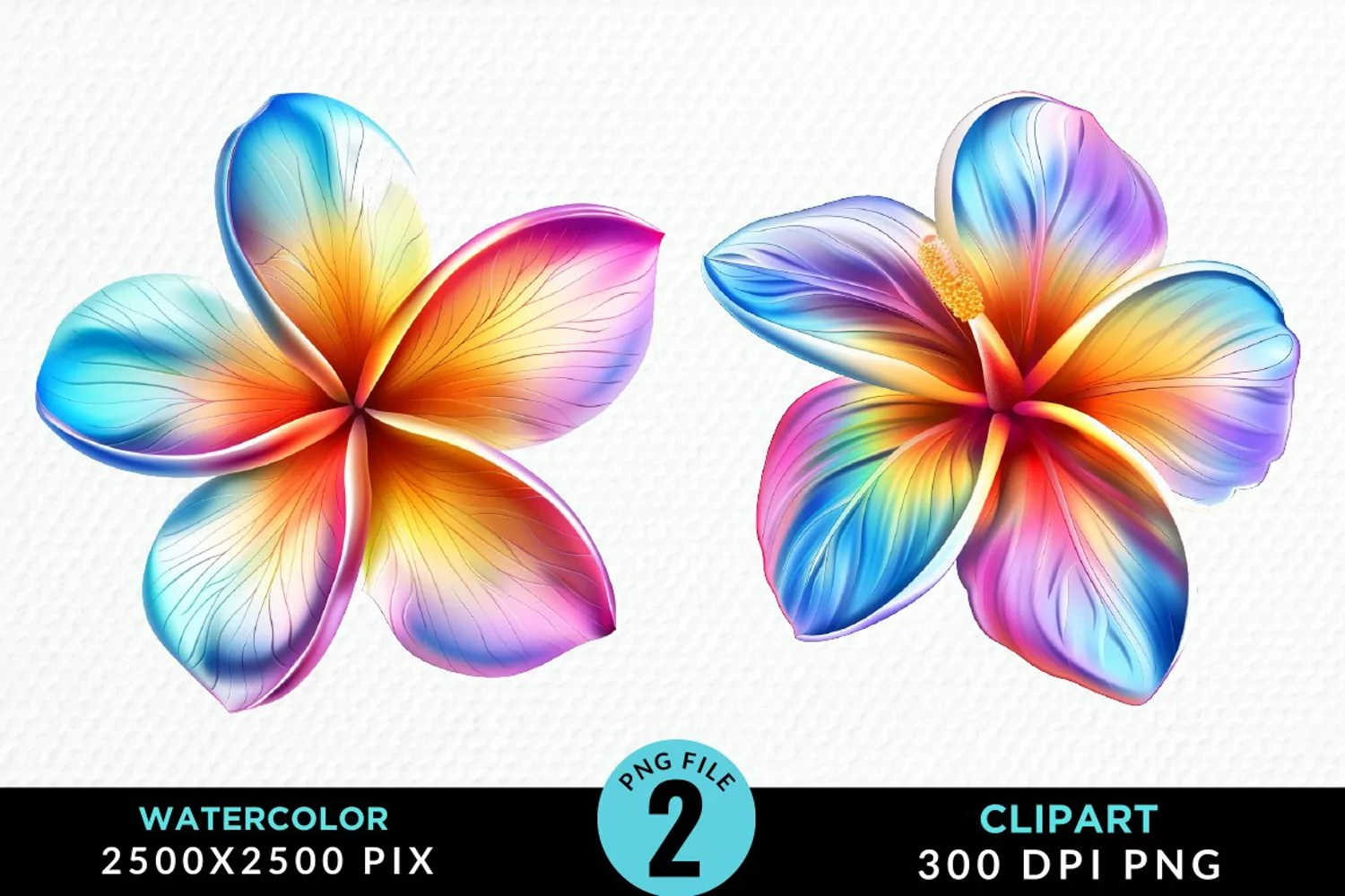 Watercolor Plumeria Flower Exquisite Clipart product image 1
