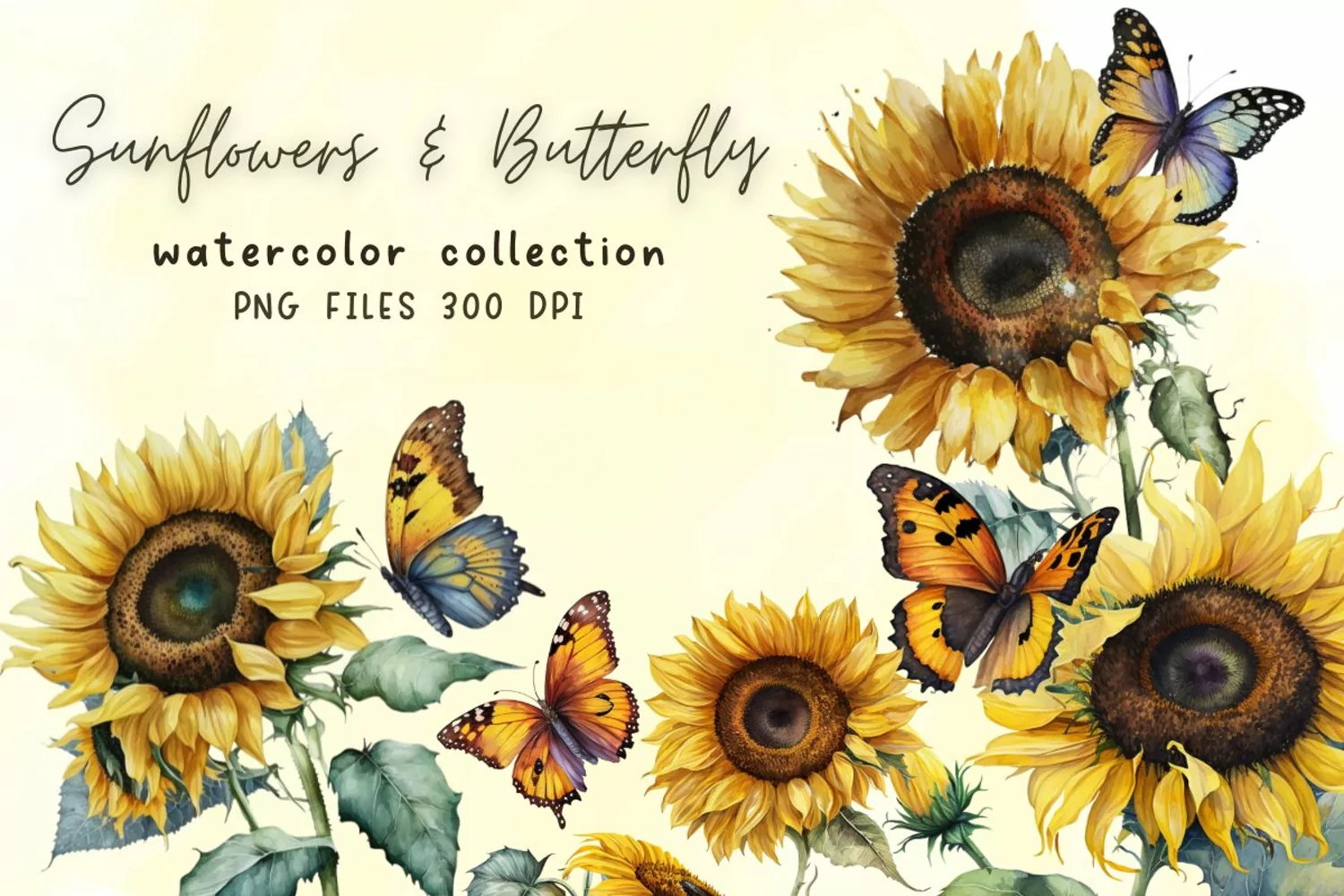 Sunflowers Butterfly Watercolor Sublimation product image 1
