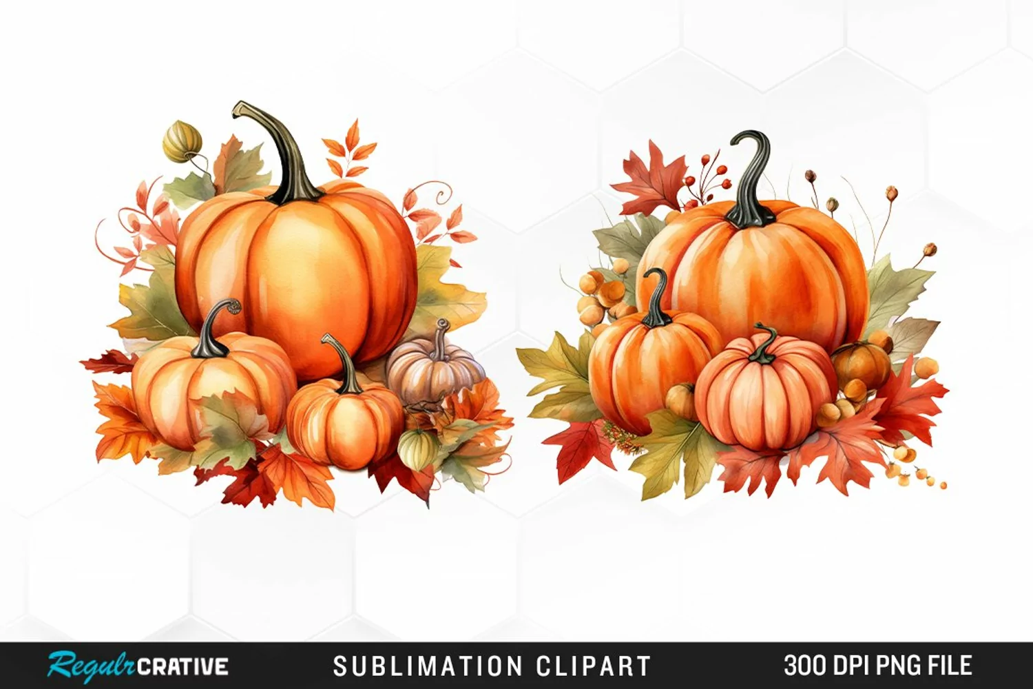 Watercolor Pumpkin Fall Image Clipart product image 1
