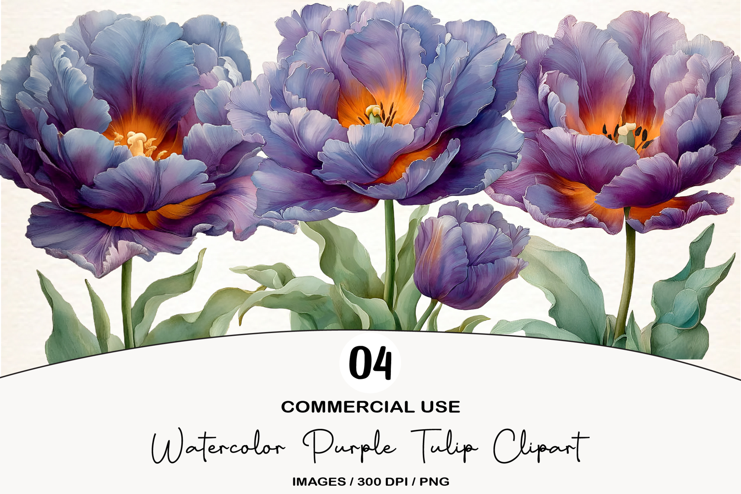 Watercolor Purple Tulip Clipart product image 1