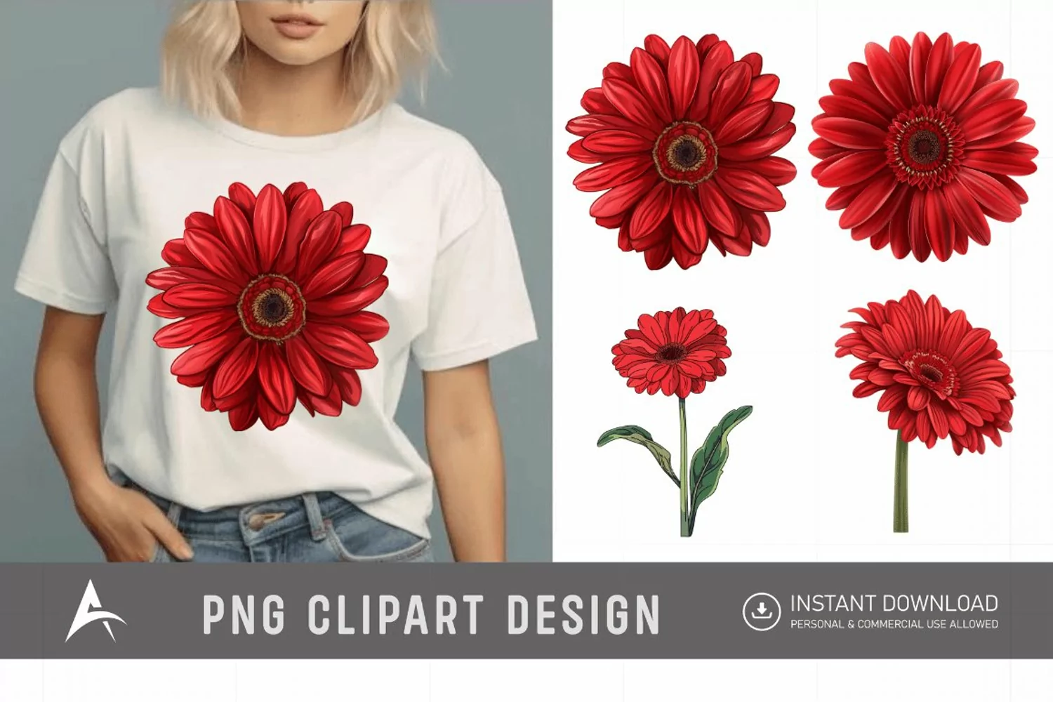 Watercolor Red Gerbera Daisy Flowers Clipart product image 1