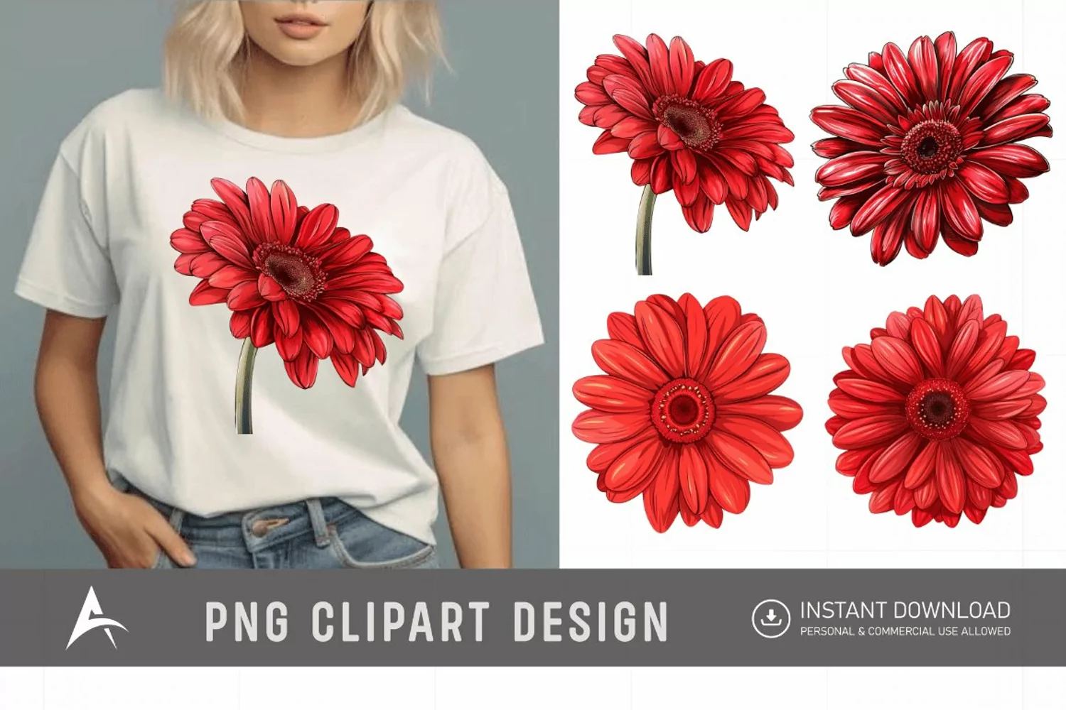 Watercolor Red Gerbera Daisy Flowers Clipart product image 1