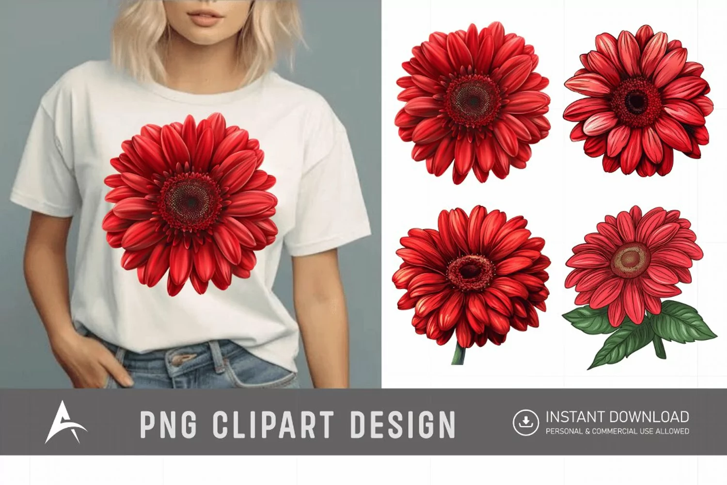 Watercolor Red Gerbera Daisy Flowers Clipart product image 1