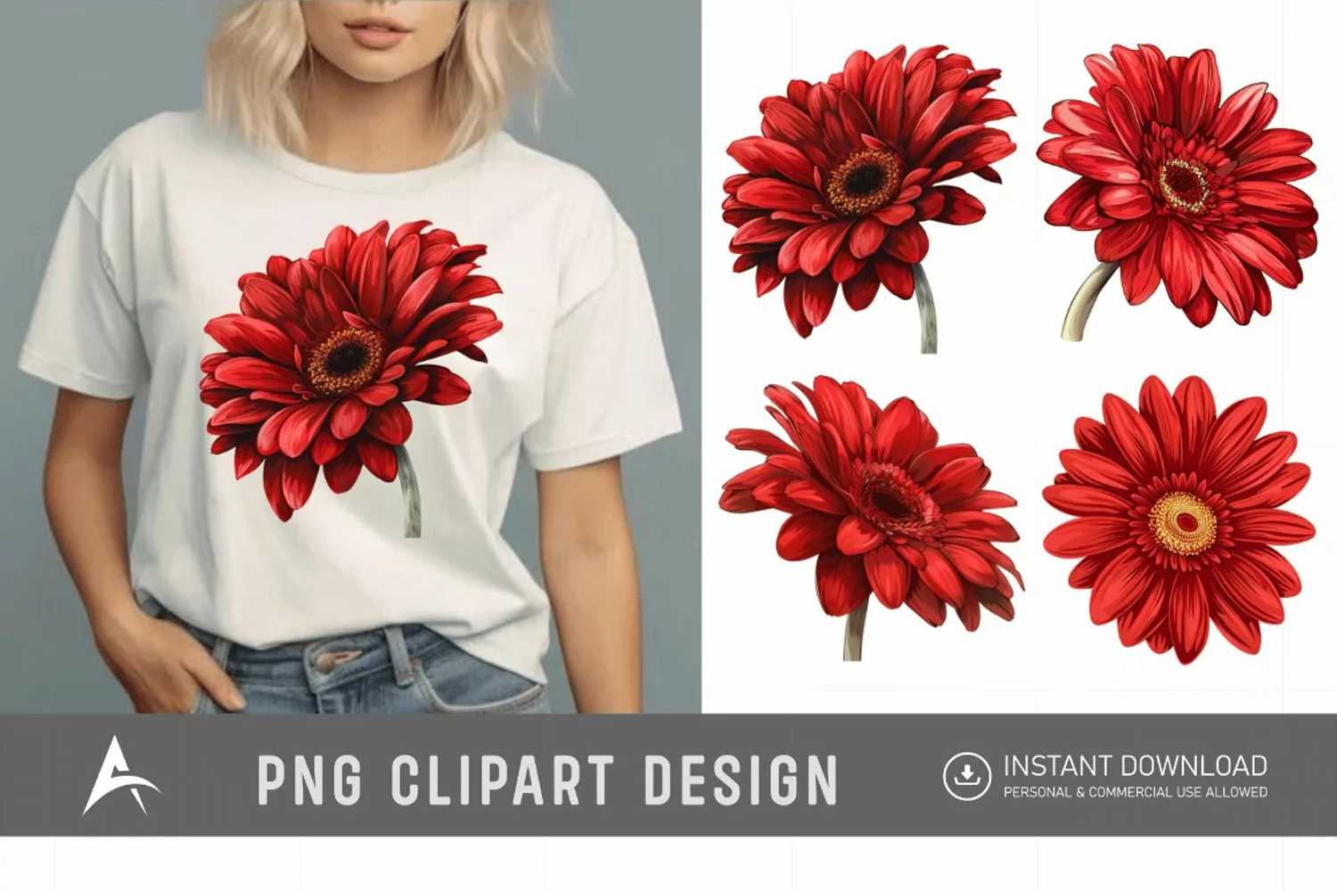 Watercolor Red Gerbera Daisy Flowers Clipart product image 1