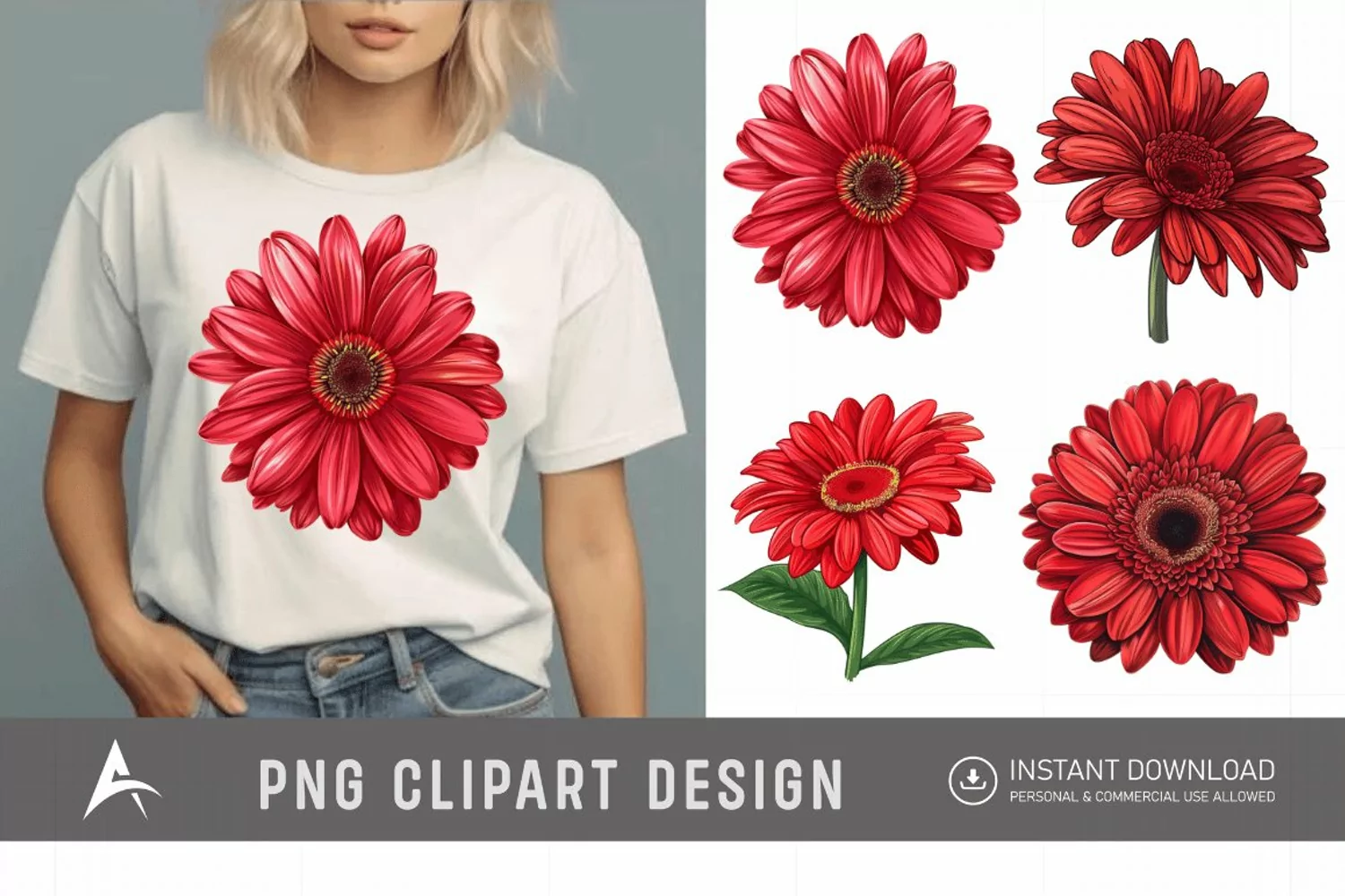 Watercolor Red Gerbera Daisy Flowers Clipart product image 1