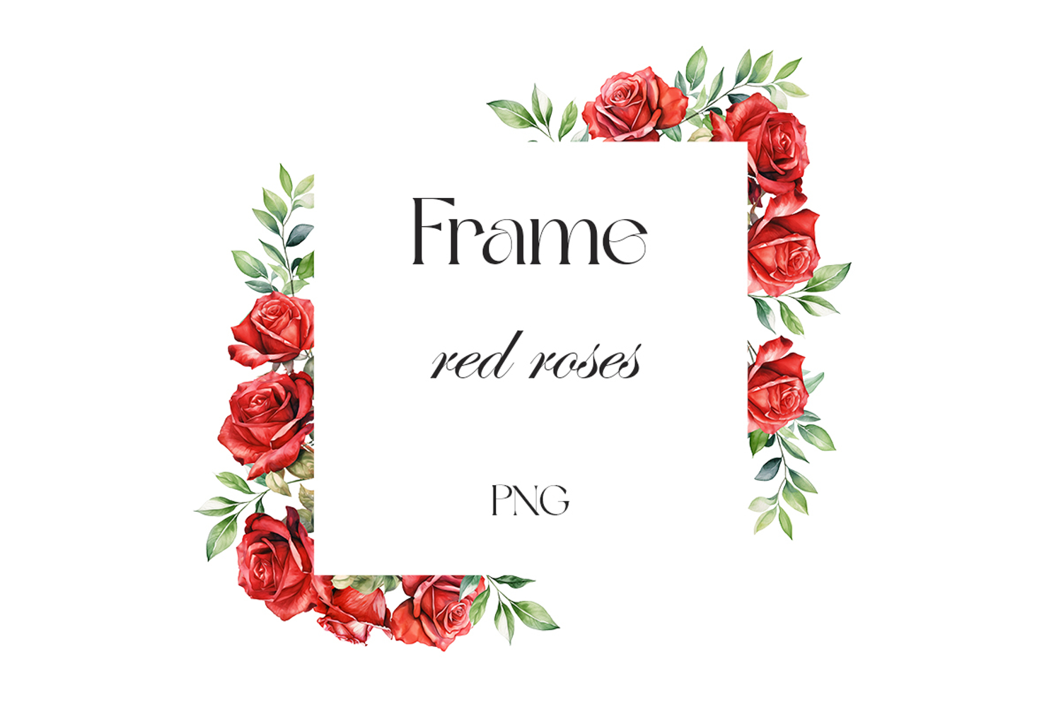 Watercolor red rose frame