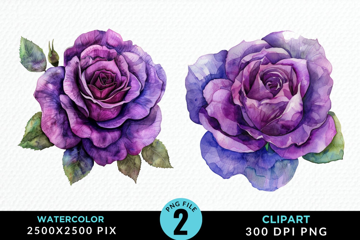 Watercolor Rose Vibrant Purple Graphic Clipart product image 1