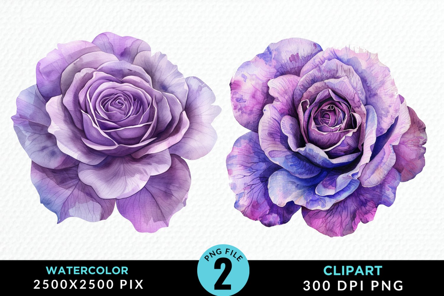 Watercolor Rose Vibrant Purple Graphic Clipart product image 1