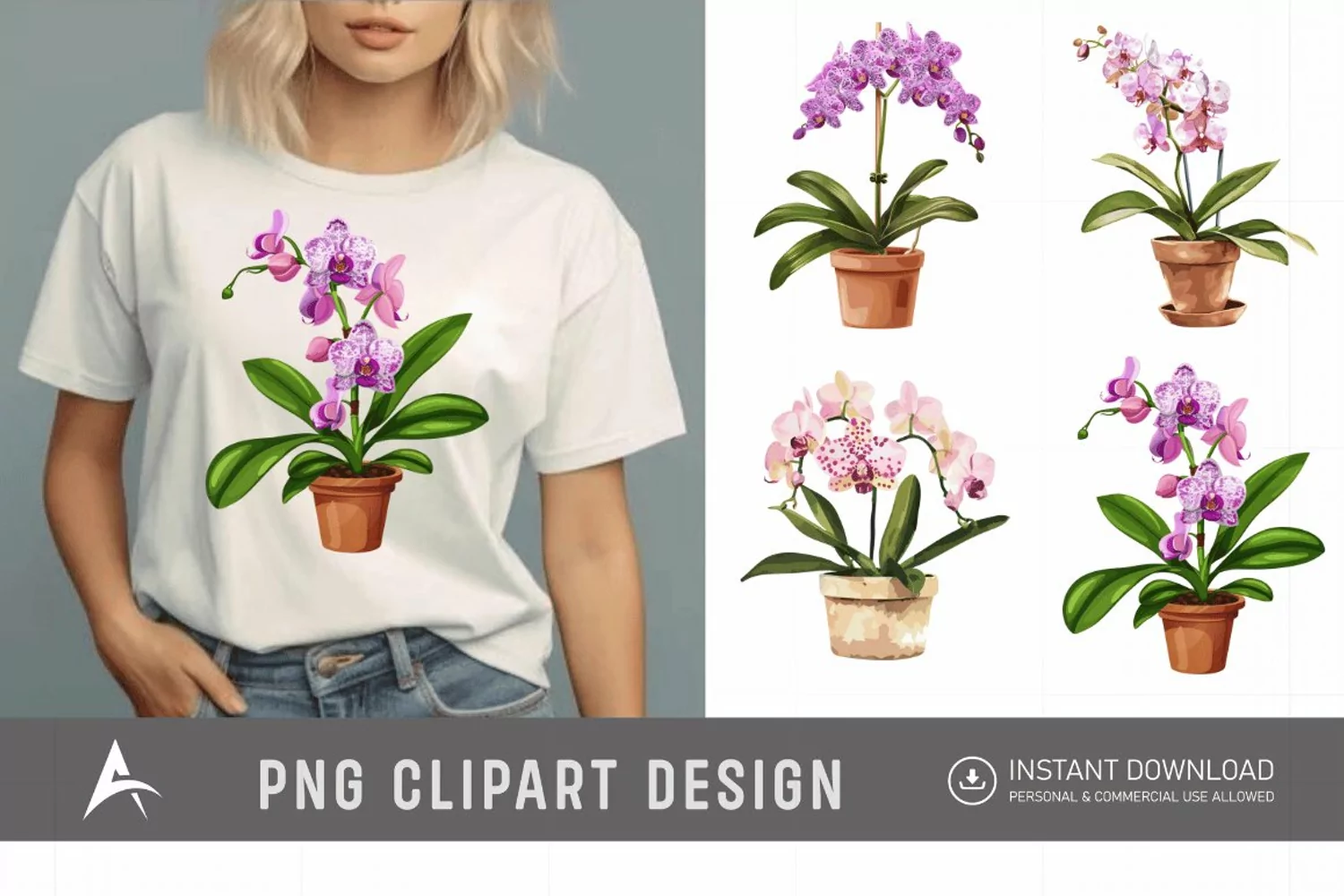 Watercolor Spotted Orchid in Pot Clipart product image 1