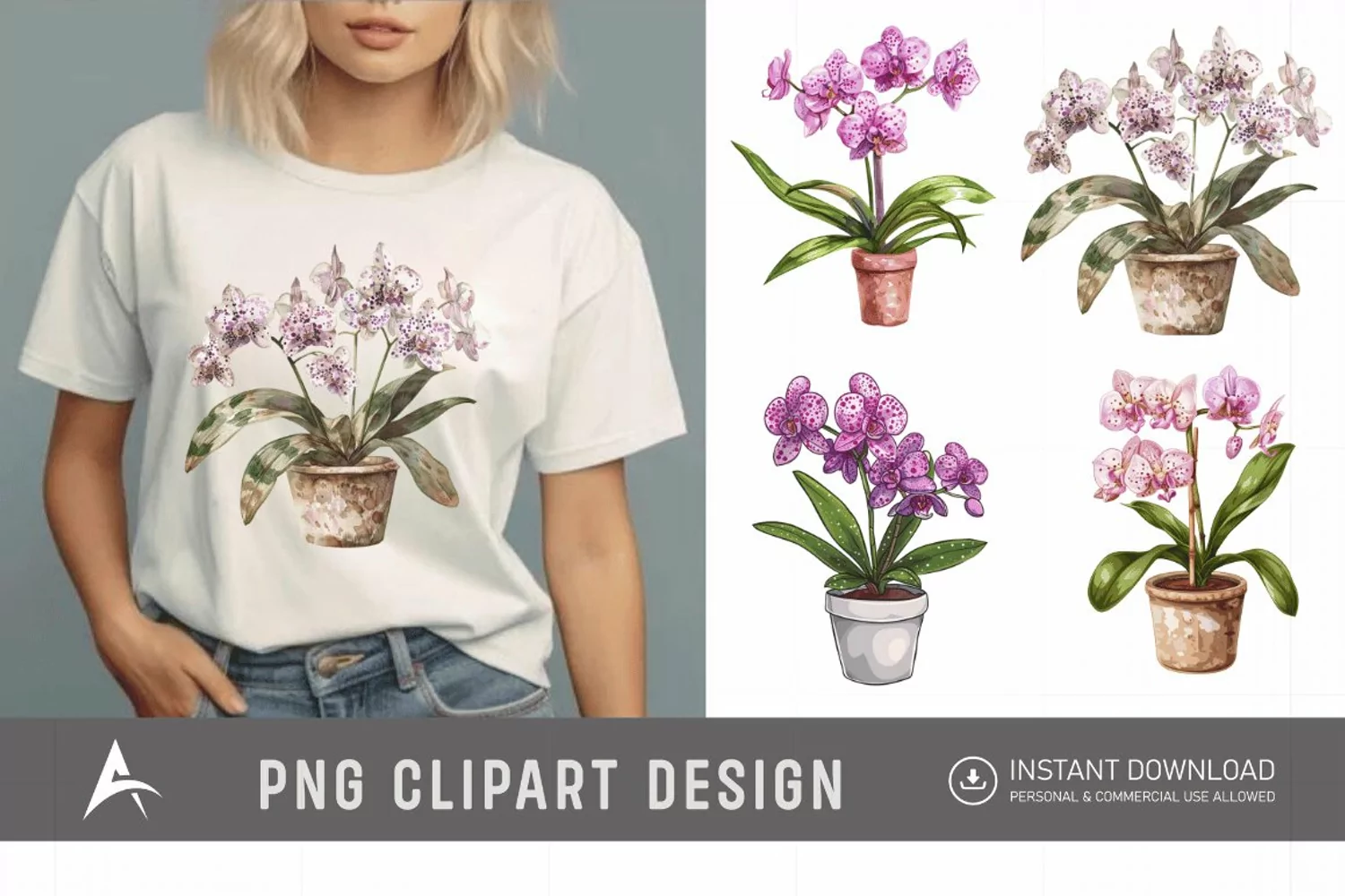 Watercolor Spotted Orchid in Pot Clipart product image 1