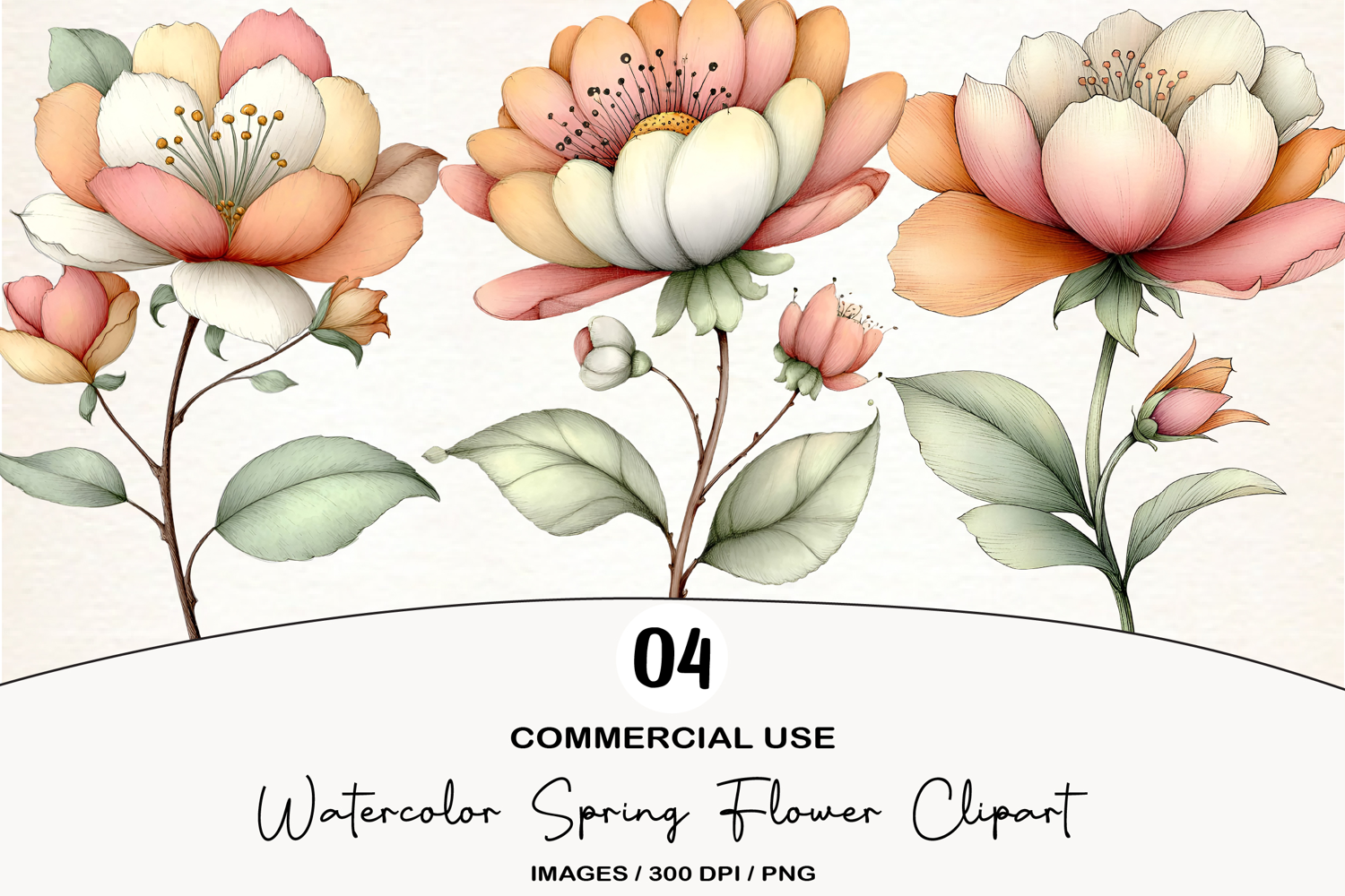 Watercolor Spring Flower Clipart product image 1