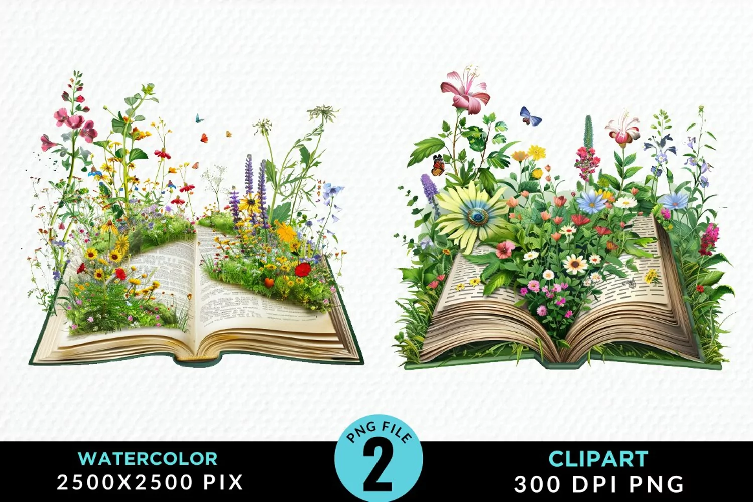 Watercolor Spring Flowers Books Clipart product image 1