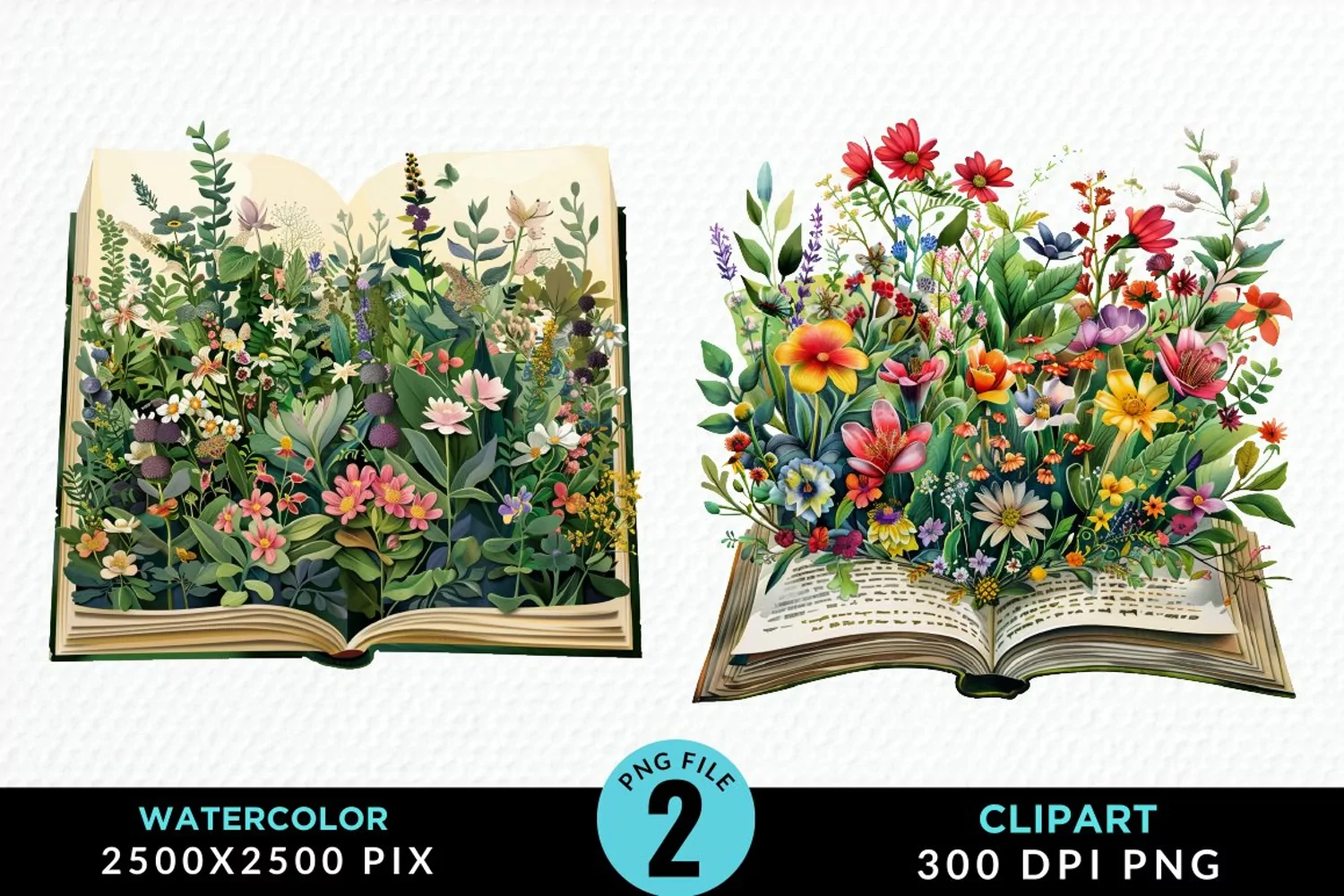 Watercolor Spring Flowers Books Clipart product image 1