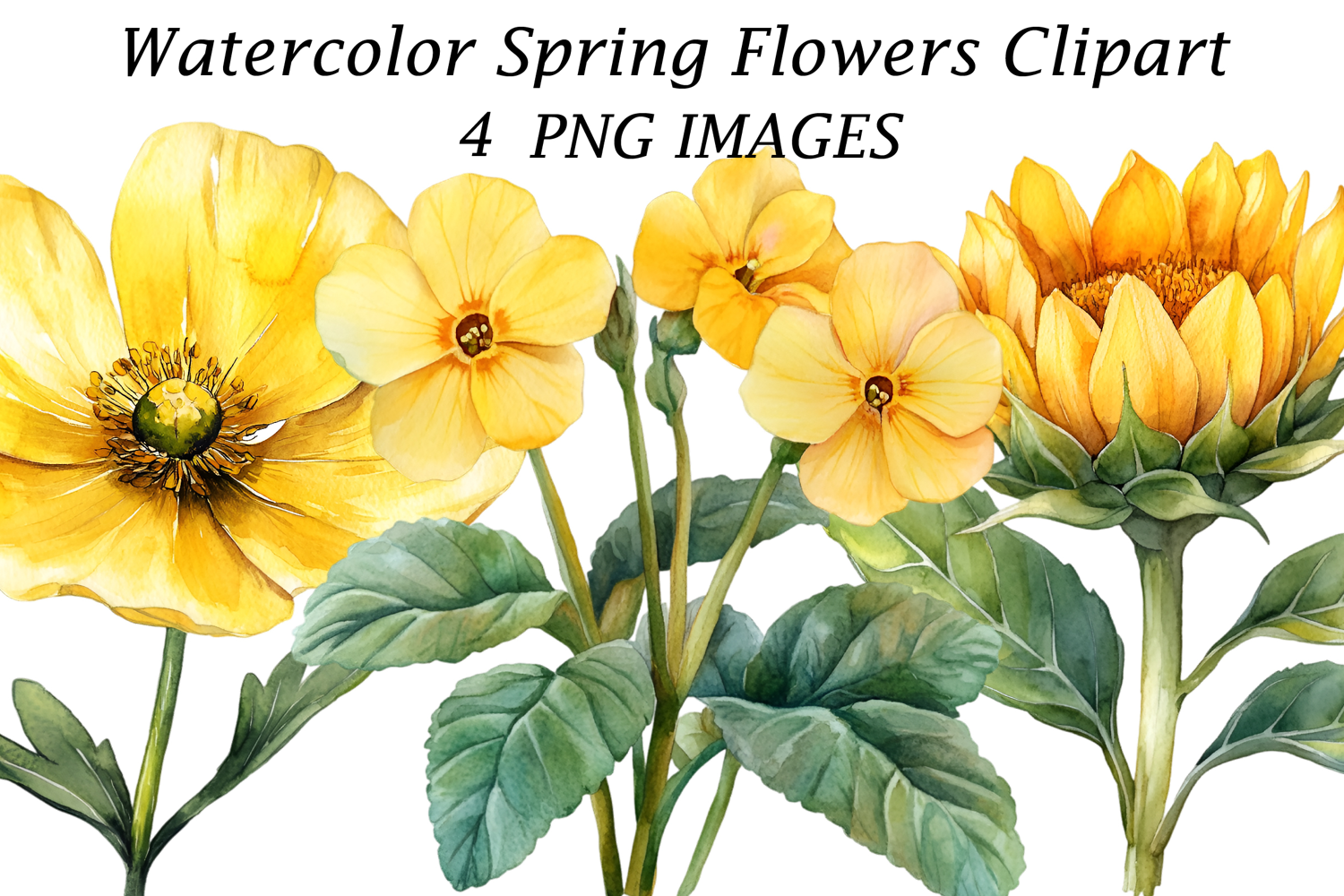 Watercolor Spring Flowers Clipart product image 1