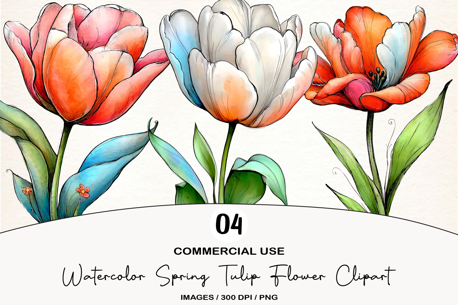 Watercolor Spring Tulip Flower Clipart product image 1
