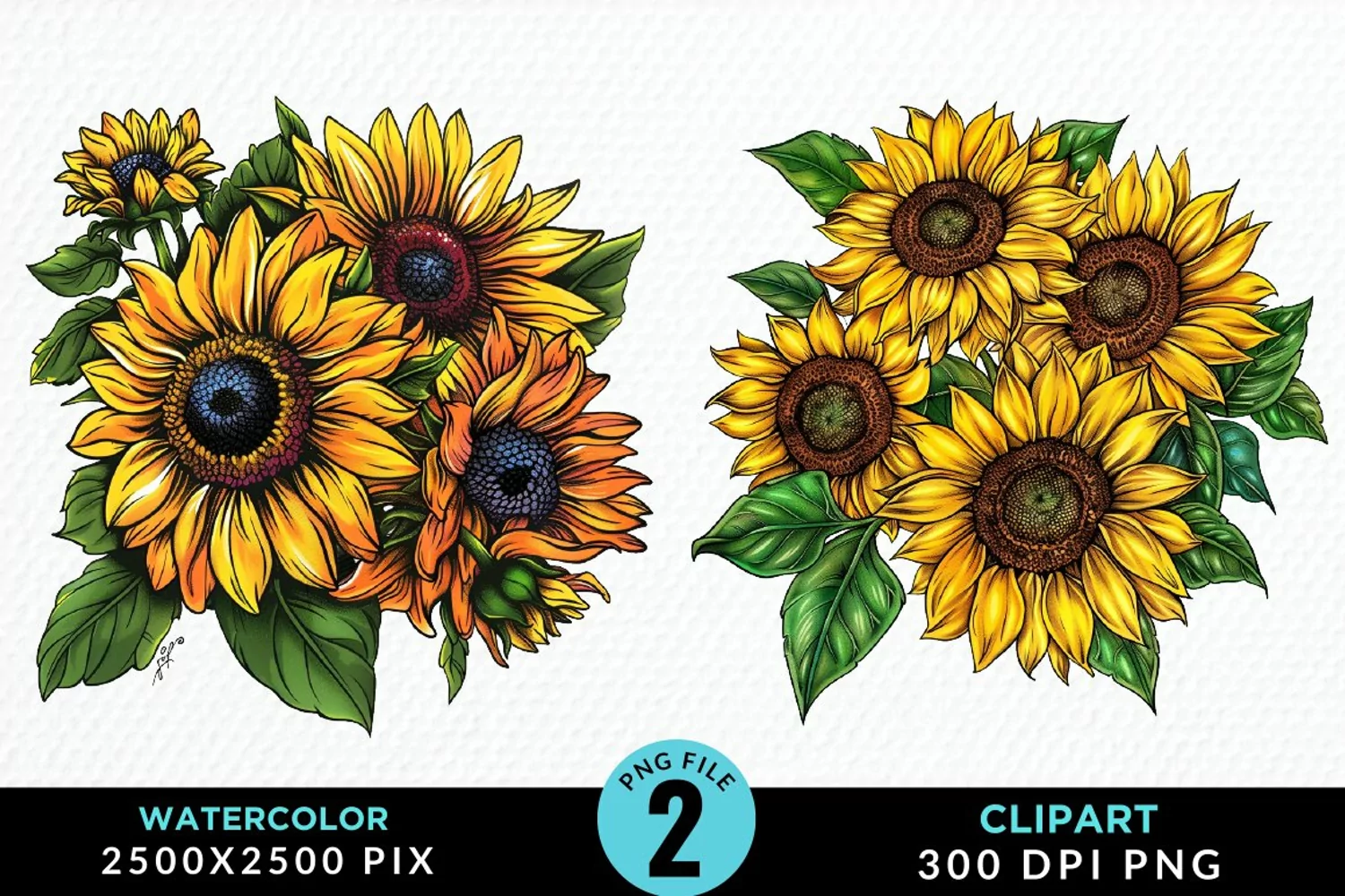 Watercolor Sunflower Illustration Clipart product image 1