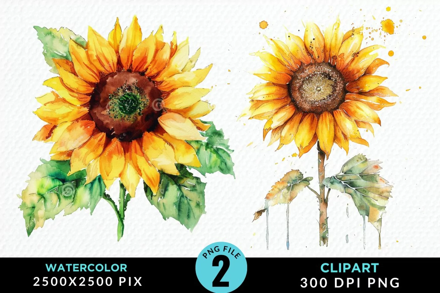 Watercolor Sunflower Graphics Clipart product image 1