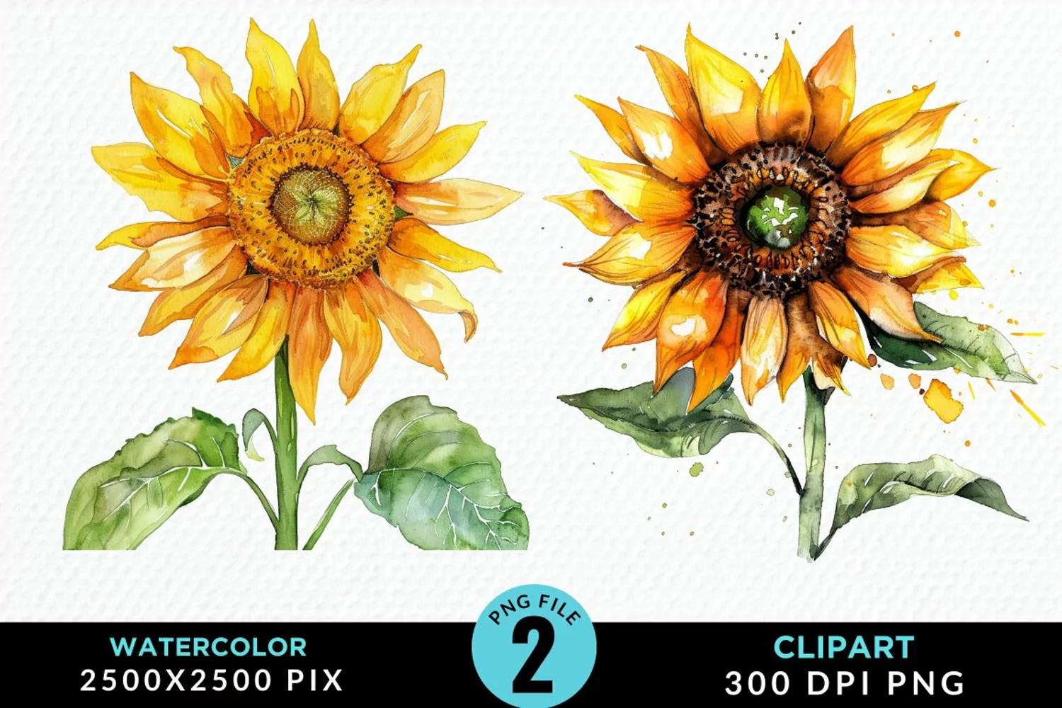 Watercolor Sunflower Illustration Clipart product image 1