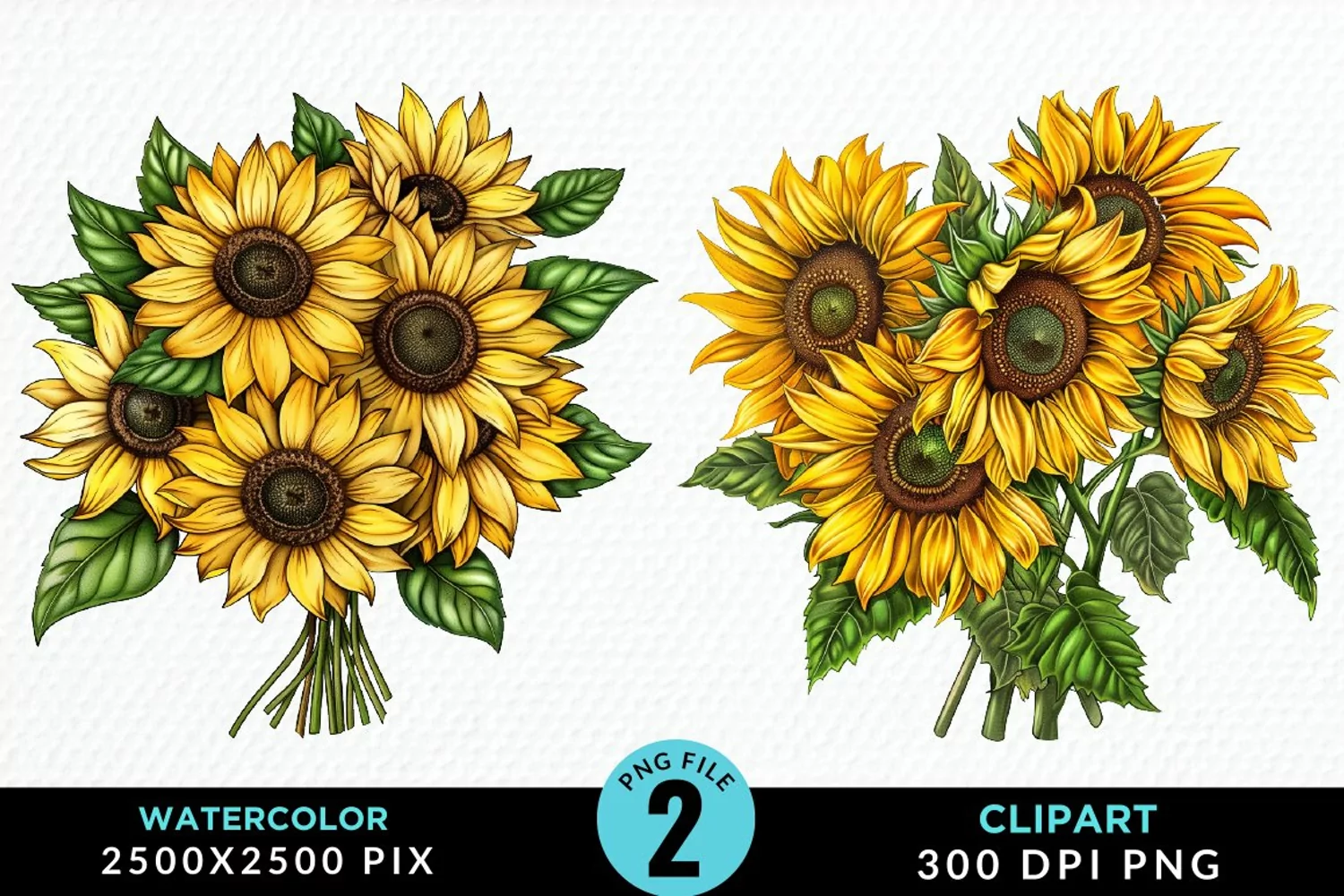 Watercolor Sunflower Exquisite Clipart product image 1