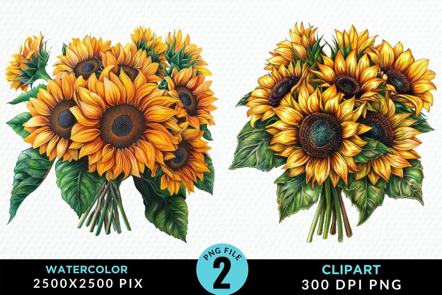 Watercolor Sunflower Illustration Clipart product image 1