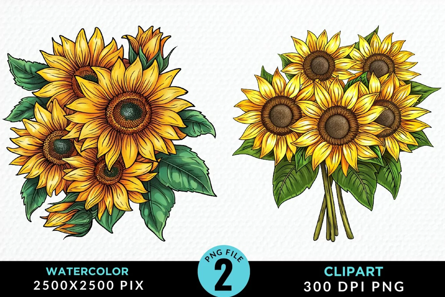 Watercolor Sunflower Illustration Clipart product image 1