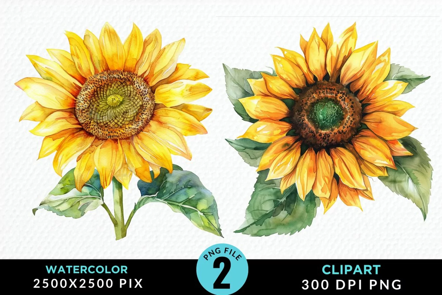 Watercolor Sunflower Graphics Clipart product image 1