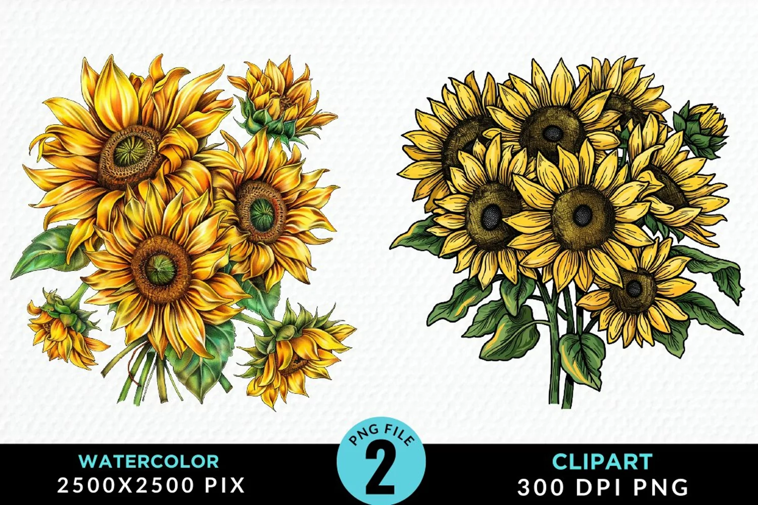 Watercolor Sunflower Illustration Clipart product image 1
