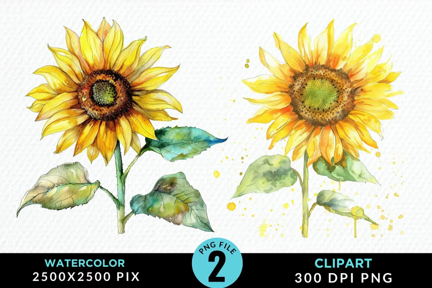 Watercolor Sunflower Illustration Clipart product image 1